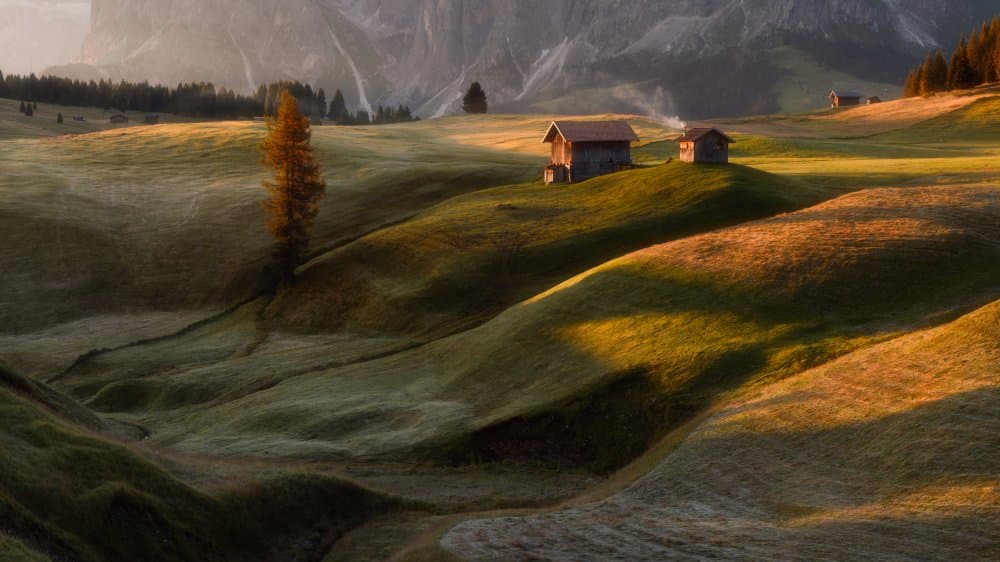 Golden Meadow Cabins by Tomasz Rojek — canvas wall art