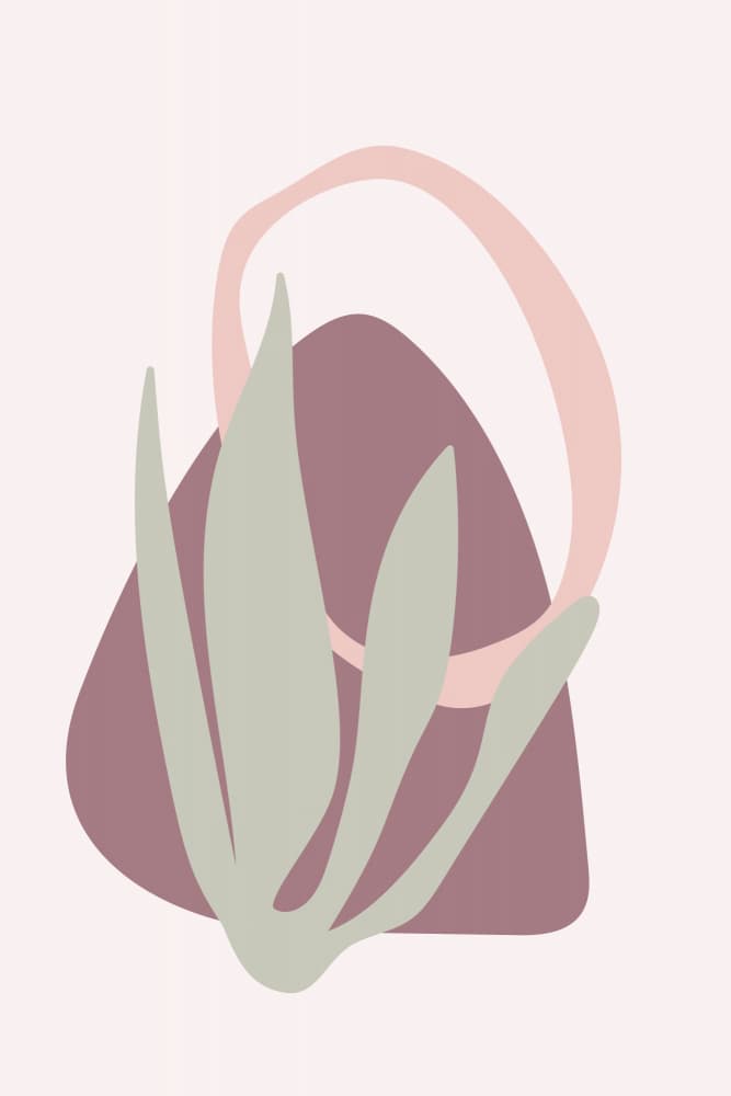 Soft Botanical Shapes by Dina Dankers — canvas wall art