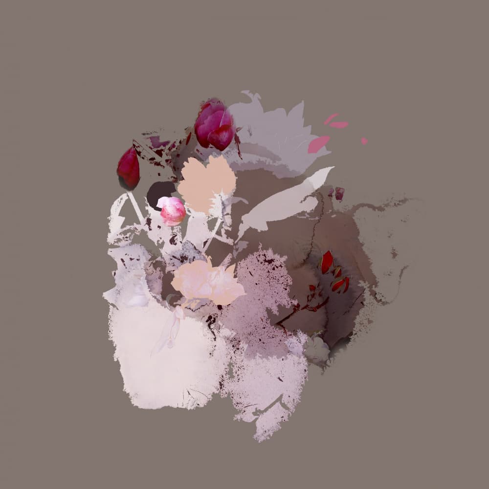 Delicate Abstract Blooms by Miriam Stayte — canvas wall art
