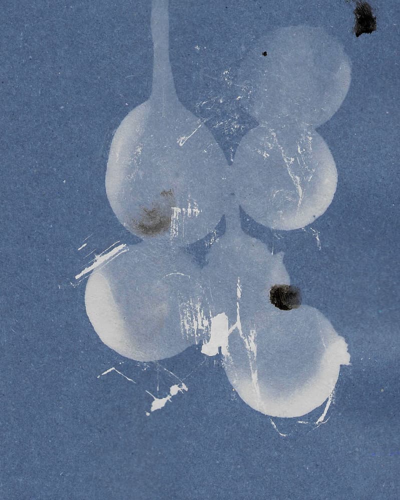 Indigo Water Drops by Santhosh ch — canvas wall art