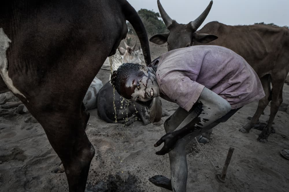 Dinka Boy Cattle Ritual by Joxe Inazio Kuesta Garmendia — canvas wall art