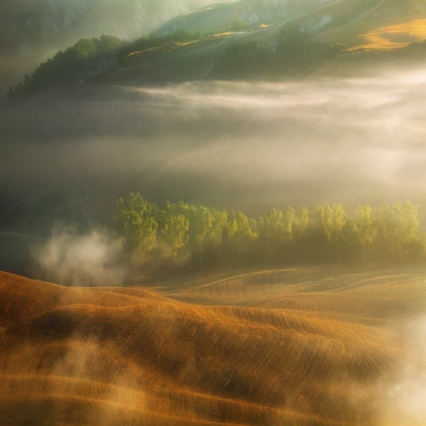 Golden Morning Fog by Krzysztof Browko — canvas wall art
