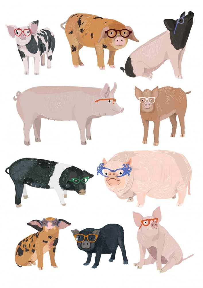 Pigs In Stylish Eyewear by Hanna Melin — canvas wall art