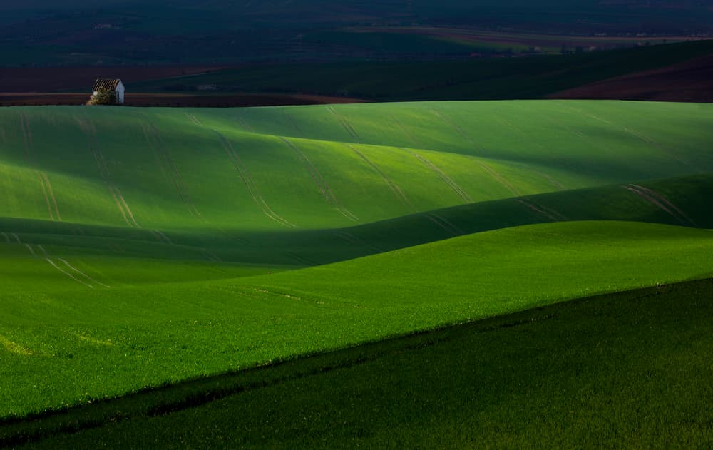 Green Hills Solitary House by Clas Gustafson PRO — canvas wall art