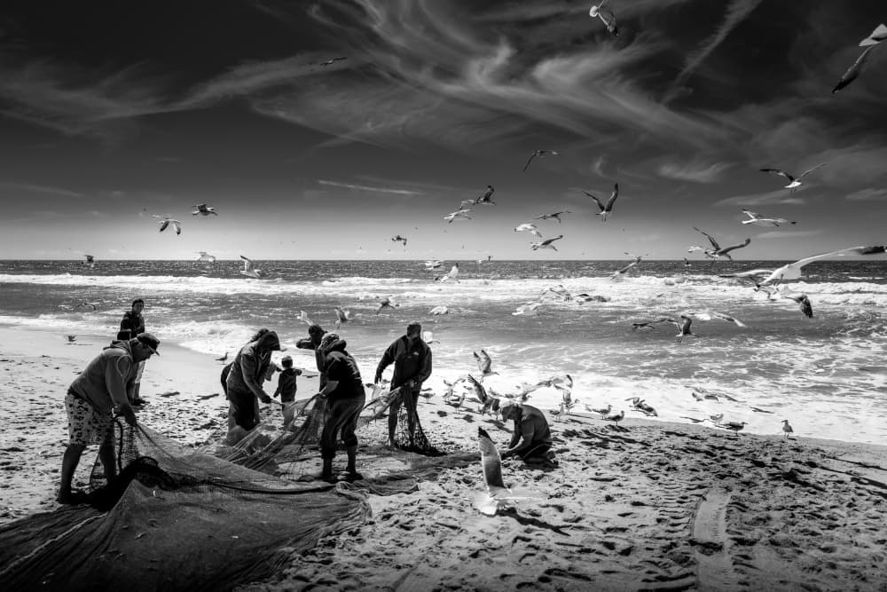 Beach Fishing Seagulls by Luis Borges Alves — canvas wall art