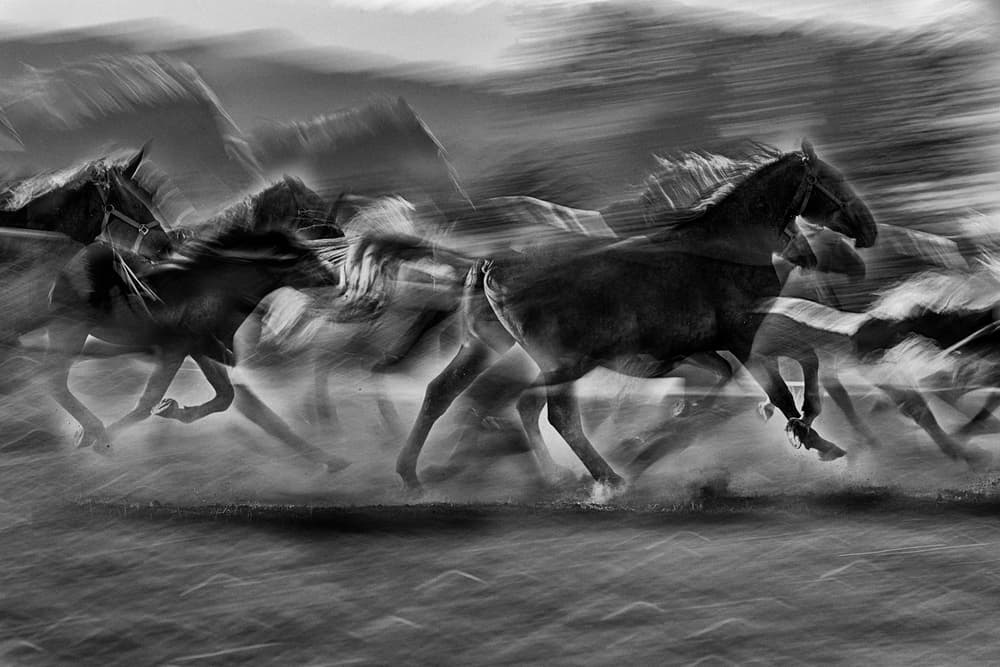 Galloping Horses Motion Blur by Milan Malovrh — canvas wall art