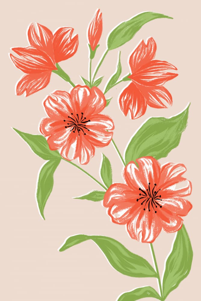 Vibrant Orange Blossoms by Martina — canvas wall art