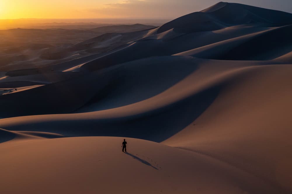 Golden Desert Solitude by Ilana Lam — canvas wall art