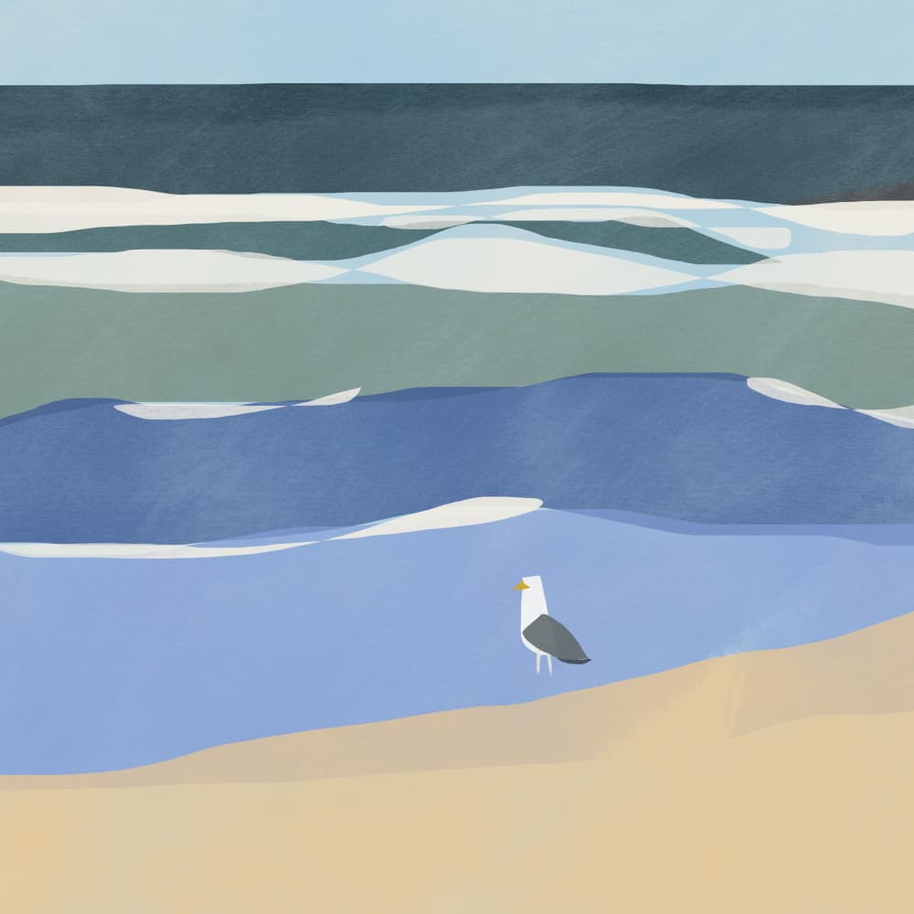 Peaceful Beach Seagull by Little Dean — canvas wall art