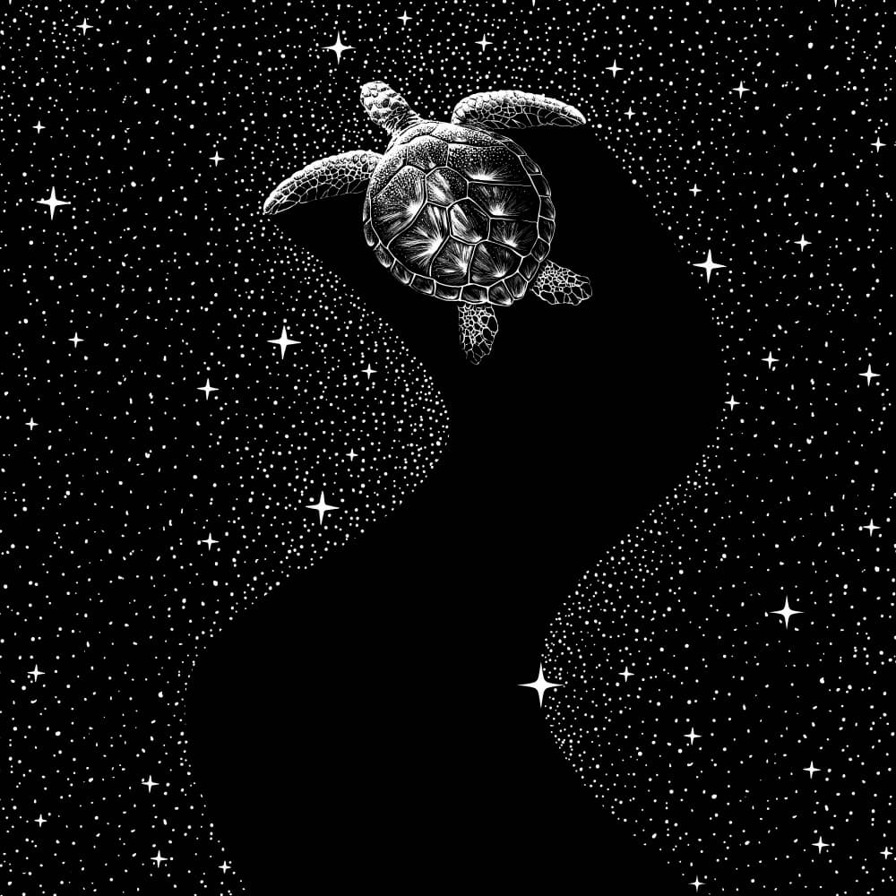 Cosmic Sea Turtle by Alirıza ÇAKIR — canvas wall art