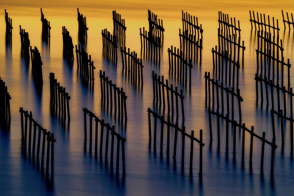 Golden Hour Poles by MingLun Tsai (蔡明倫) — canvas wall art