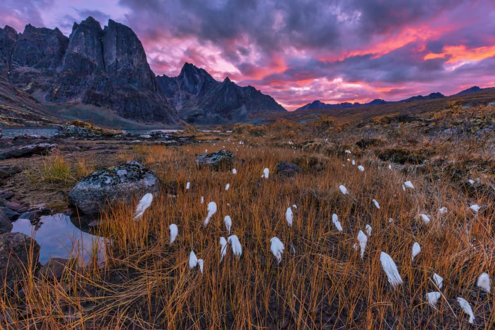 Vibrant Mountain Tundra by Jun Zuo — canvas wall art