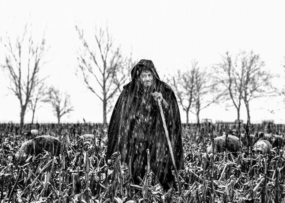 Mysterious Winter Shepherd by Eyal Amer — canvas wall art