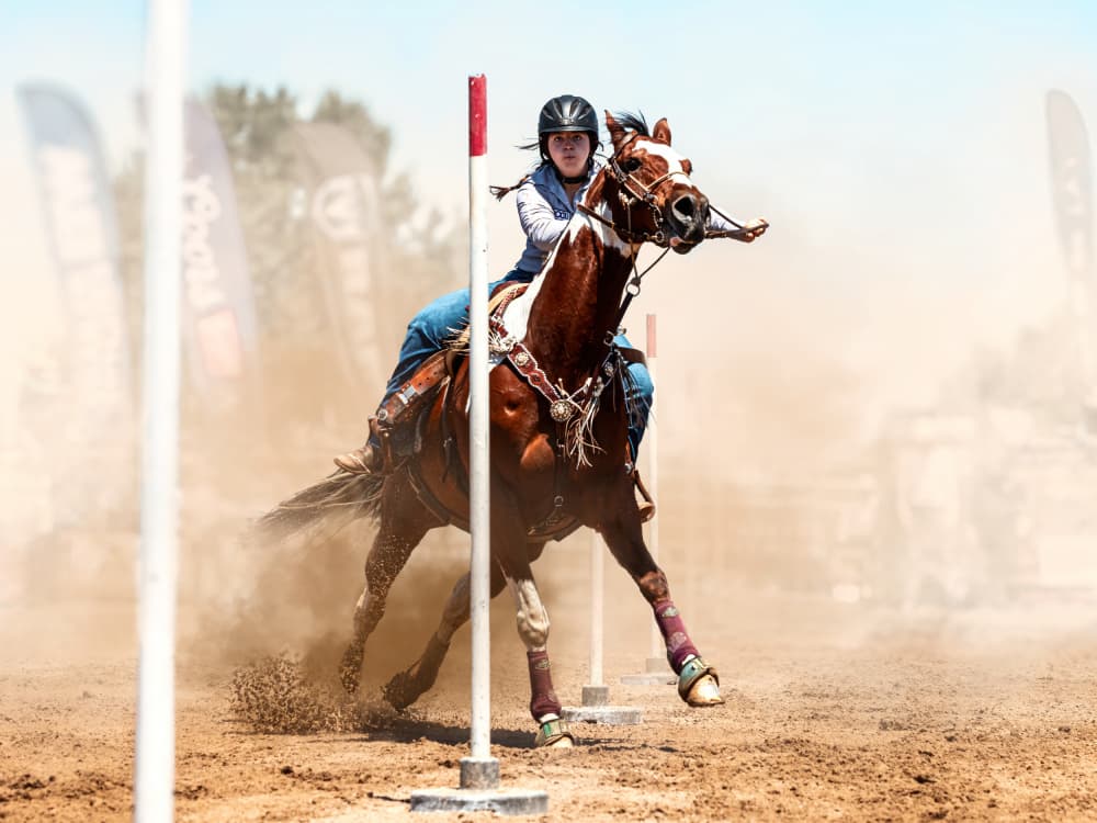 Western Pole Bending by Steven Zhou — canvas wall art