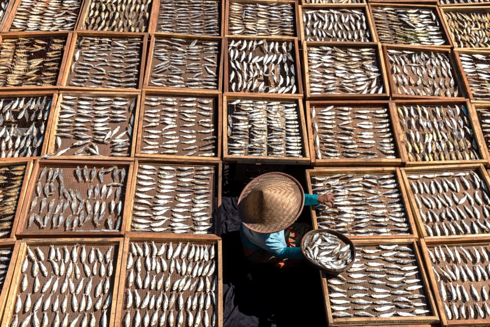 Traditional Fish Drying by Sally Widjaja — canvas wall art