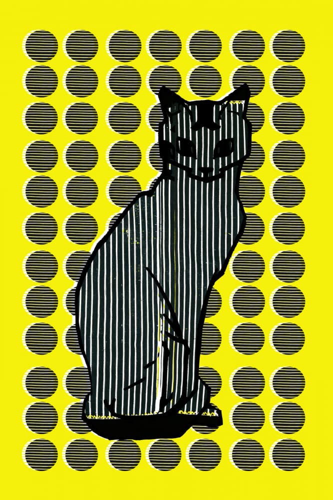 Striped Cat Illusion by casa cartissi — canvas wall art
