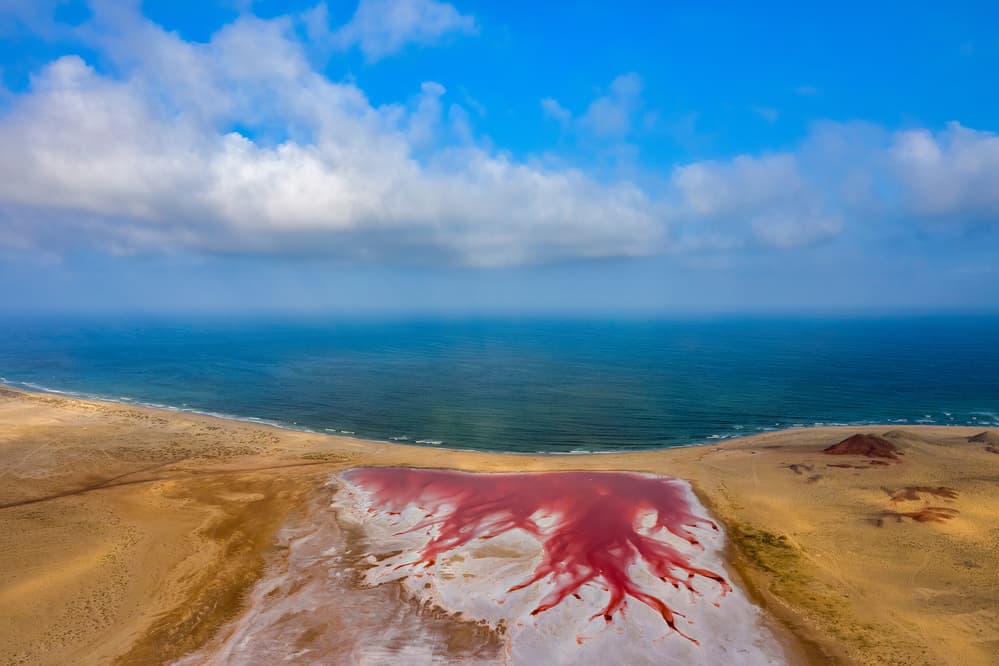 Vibrant Pink Lake Coast by Haitham AL Farsi — canvas wall art