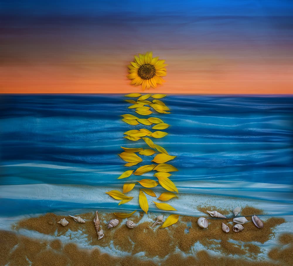 Sunflower Ocean Reflection by Dimitar Lazarov - Dim — canvas wall art