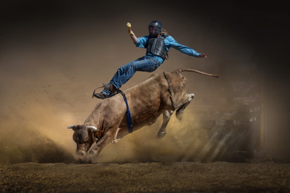 Bucking Bull Rider by Irene Wu — canvas wall art