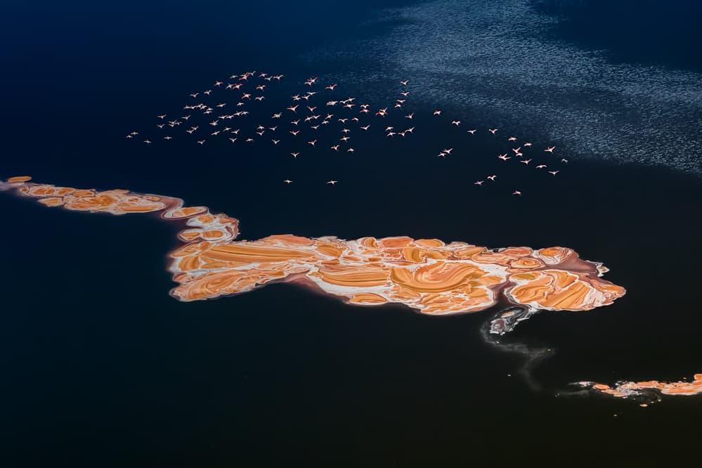 Flamingos Over Salt Lake by Jun Zuo — canvas wall art