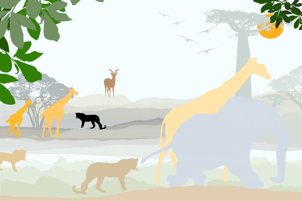 African Wildlife Sunset by casa cartissi — canvas wall art