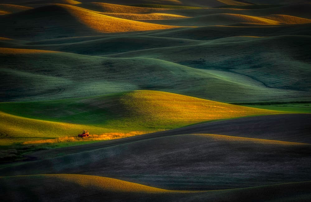 Rolling Hills Golden Light by Rob Darby — canvas wall art