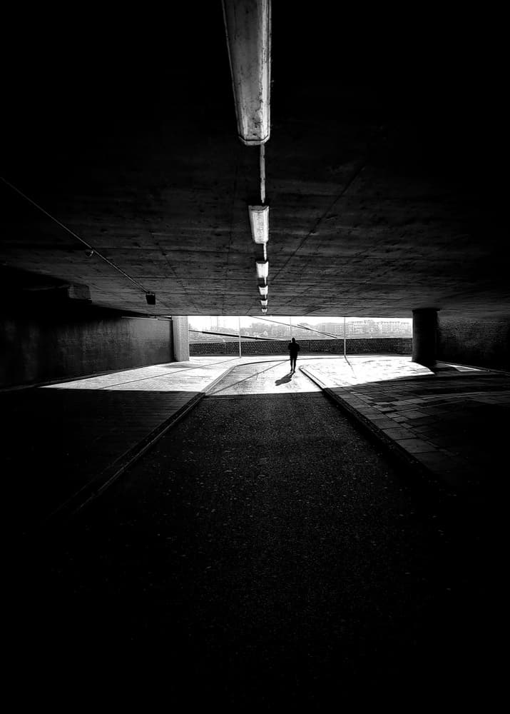 Path to Light by Jorge Pimenta — canvas wall art
