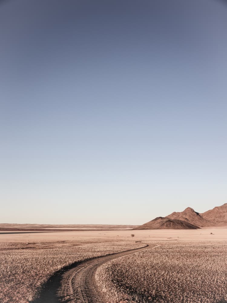 Desert Pathway by Shot by Clint — canvas wall art