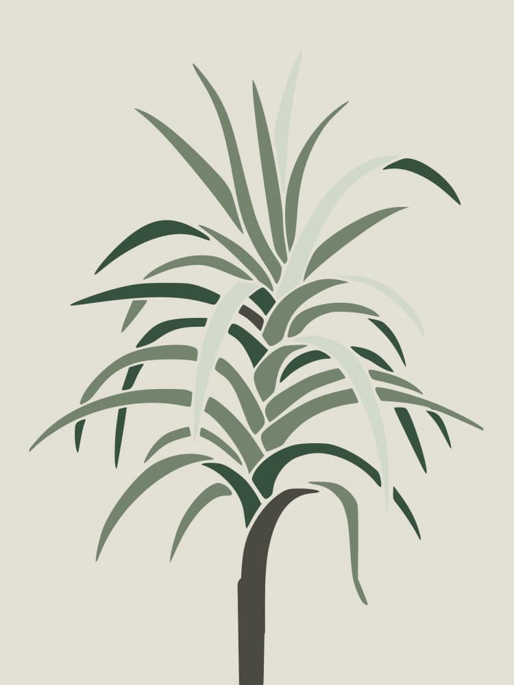 Minimalist Tropical Palm by Little Dean — canvas wall art