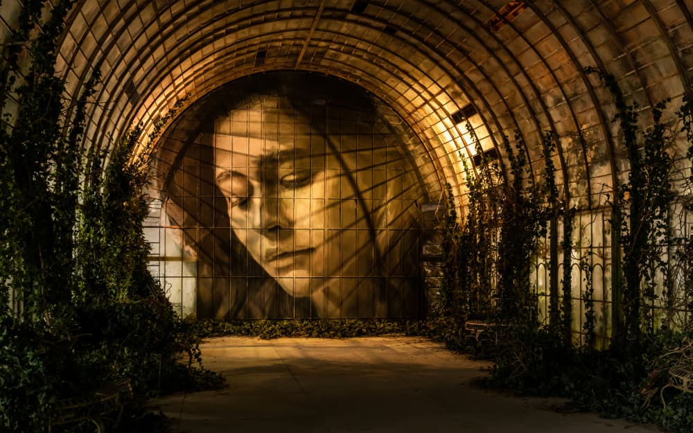 Serene Mural Greenhouse by Irene Wu — canvas wall art