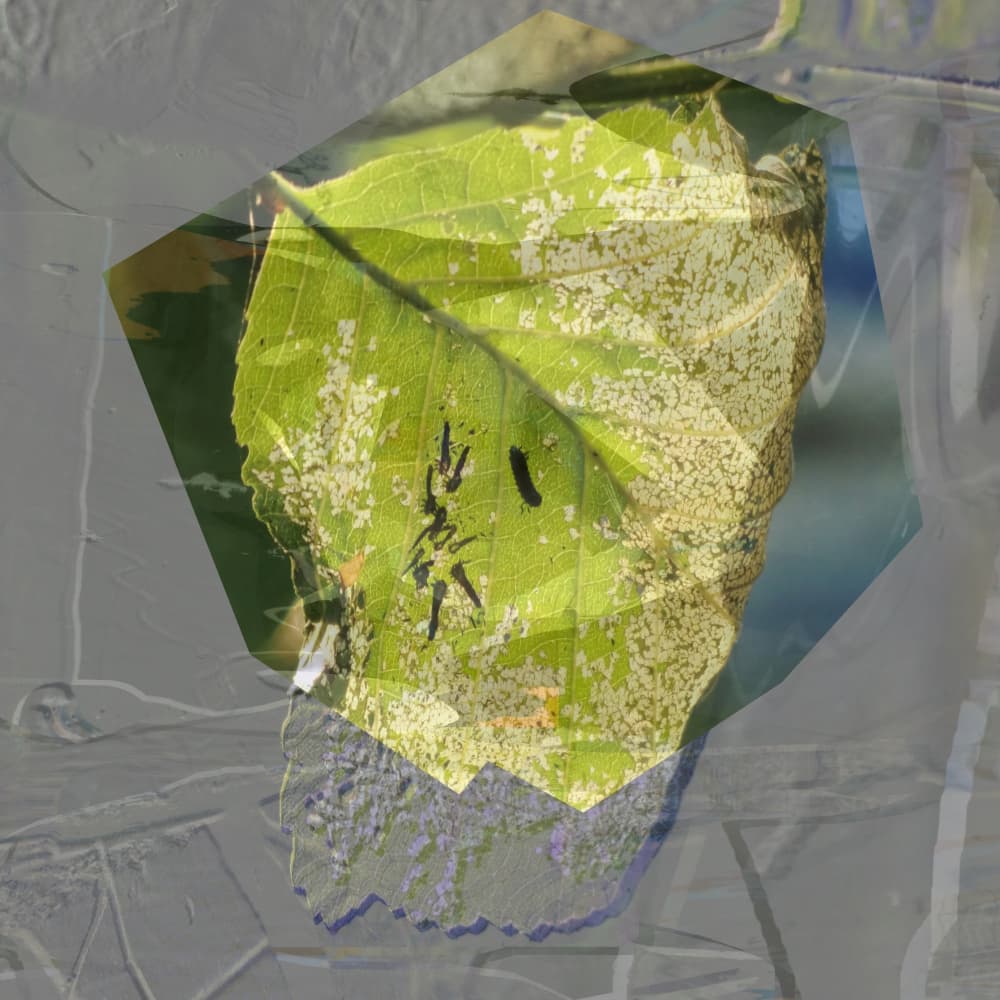Abstract Green Leaf by Stefan Fransson — canvas wall art