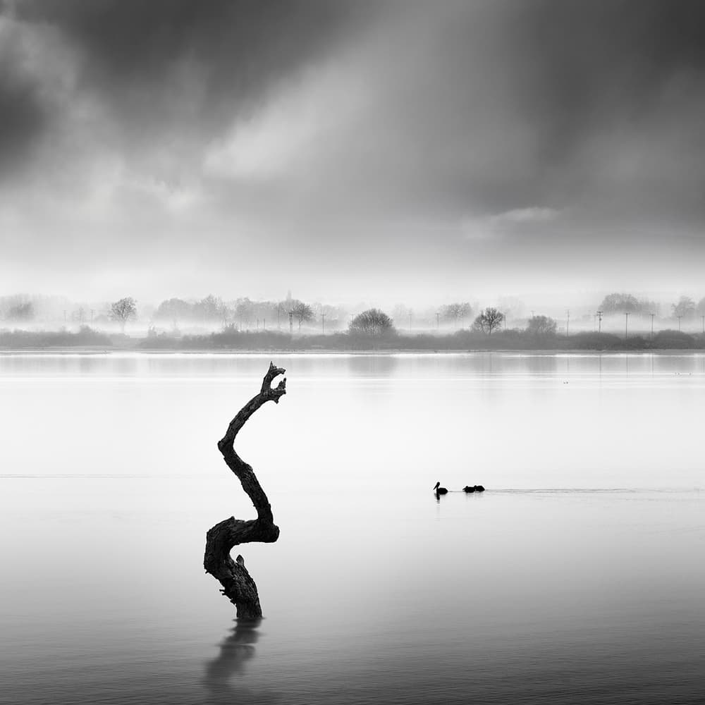 Misty Lake Serenity by George Digalakis — canvas wall art