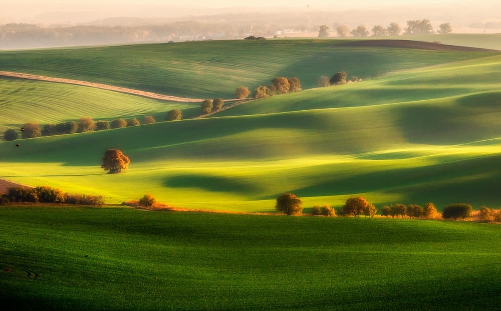 Golden Rolling Hills by Piotr Krol (Bax) — canvas wall art