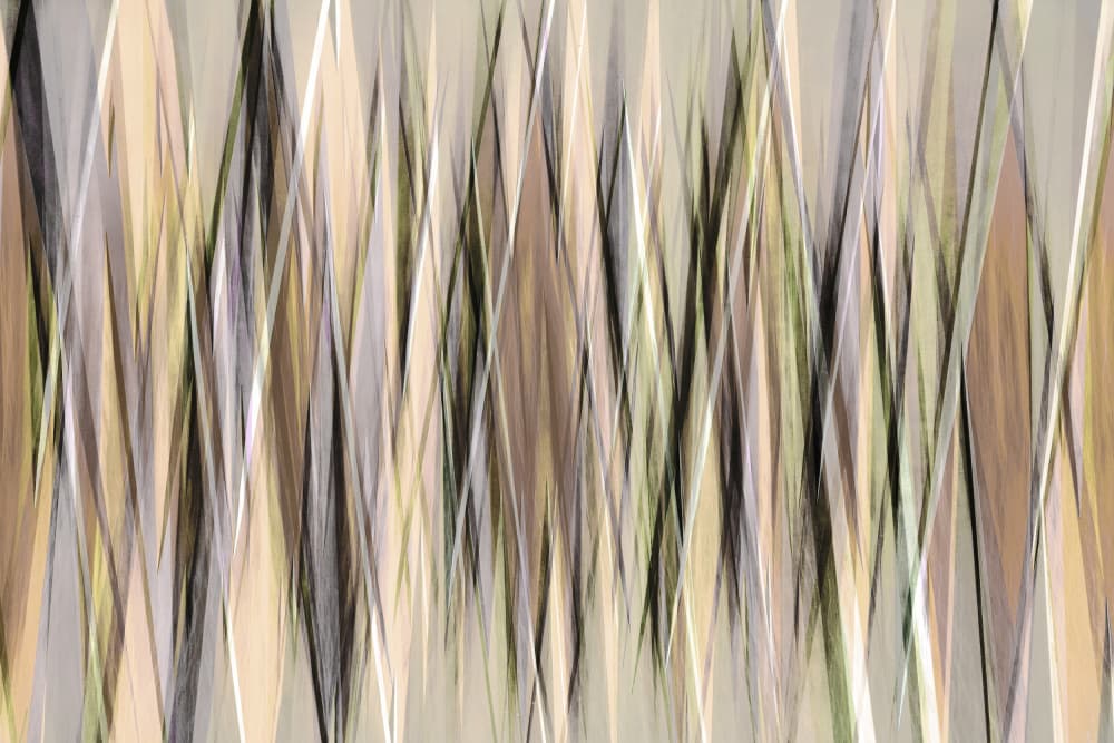 Abstract Earthy Lines by Christina Sillen — canvas wall art