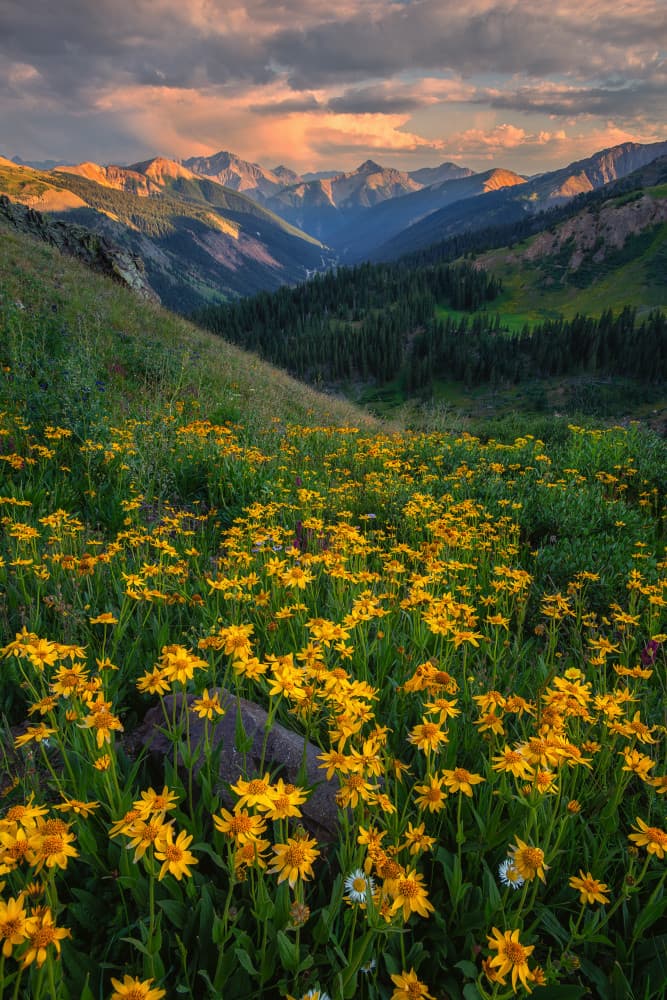 Golden Hour Mountain Meadow by Mei Xu — canvas wall art