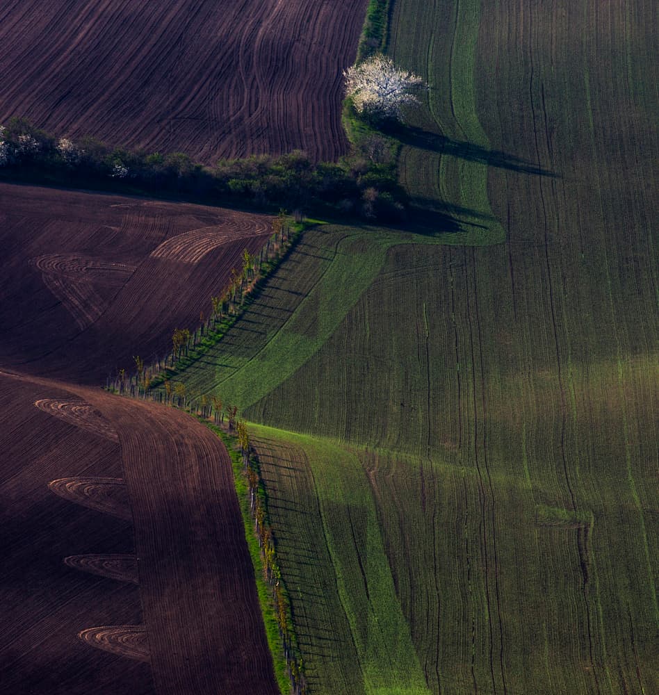 Springtime Field Patterns by Clas Gustafson PRO — canvas wall art