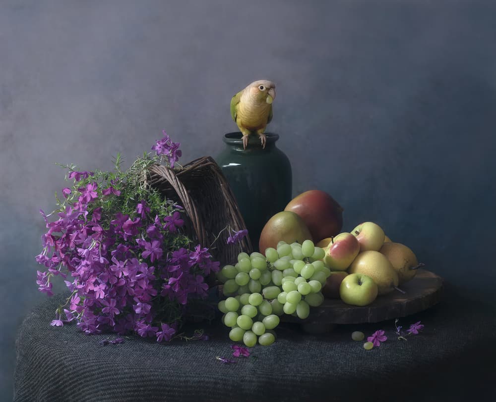 Still Life with Parrot by Catherine Wang — canvas wall art