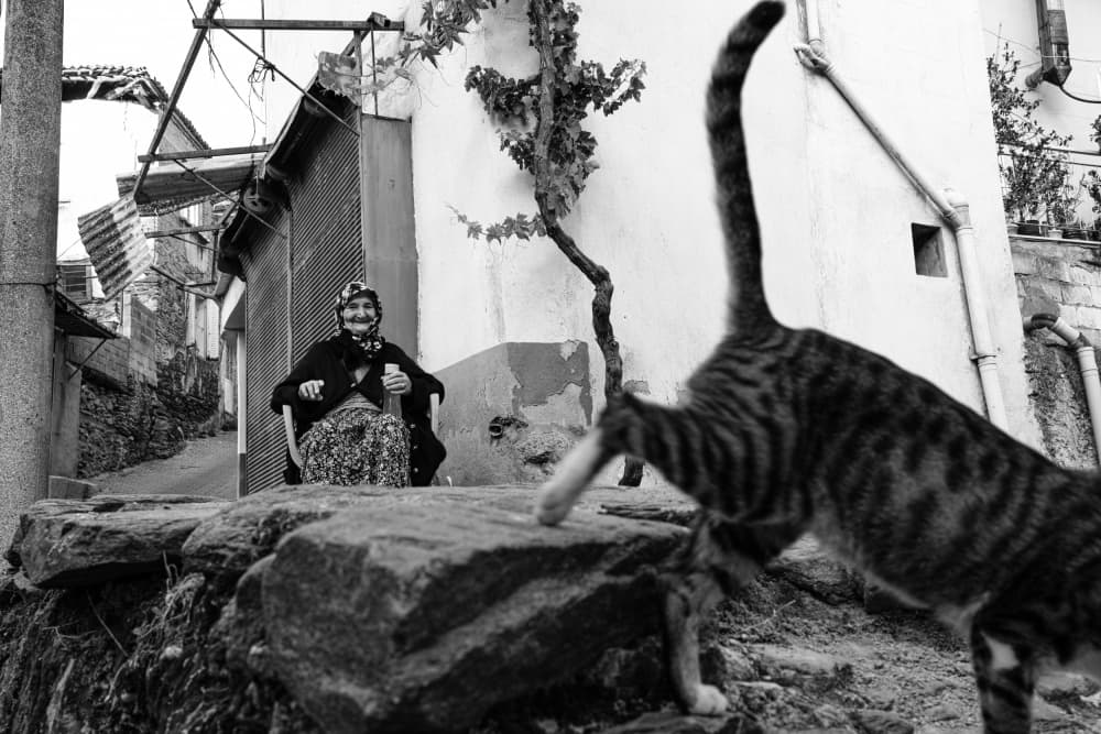 Street Cat and Smiling Woman by Ali Ayer — canvas wall art
