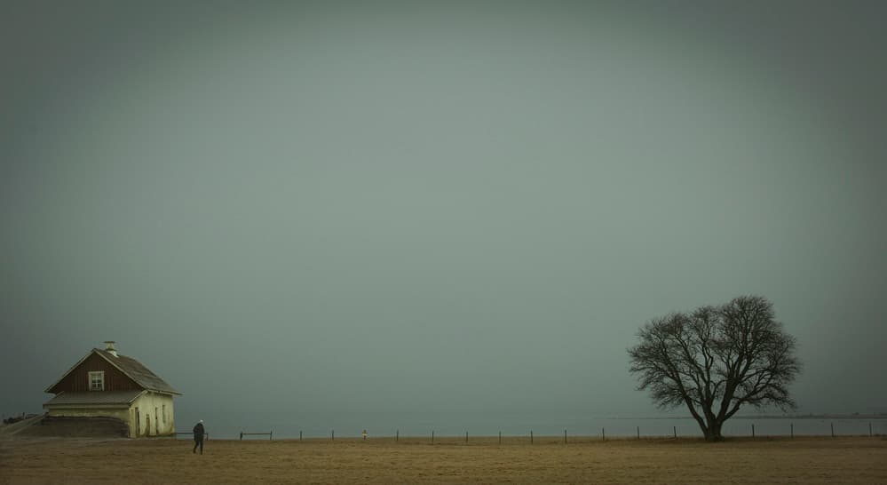 Gray weather by Clas Gustafson PRO — canvas wall art