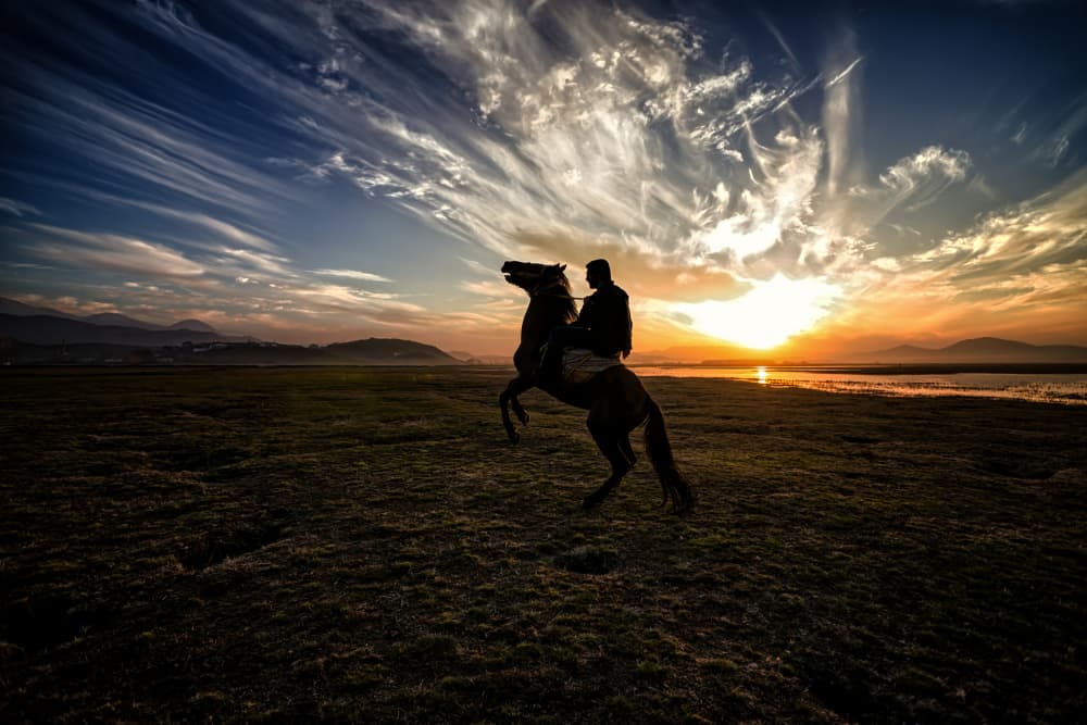 Rearing Horse at Sunset by Merthan Kortan — canvas wall art