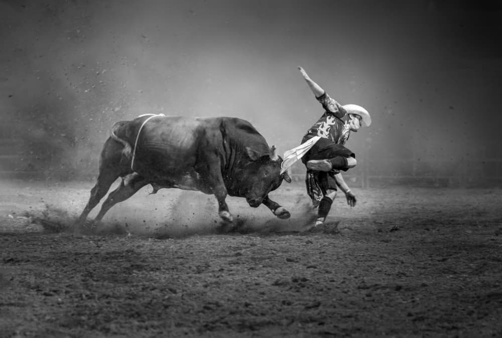 Rodeo Bull Action by Irene Wu — canvas wall art