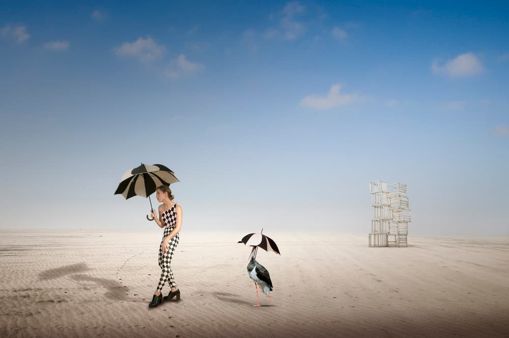 Surreal Desert Walk by Christine von Diepenbroek — canvas wall art