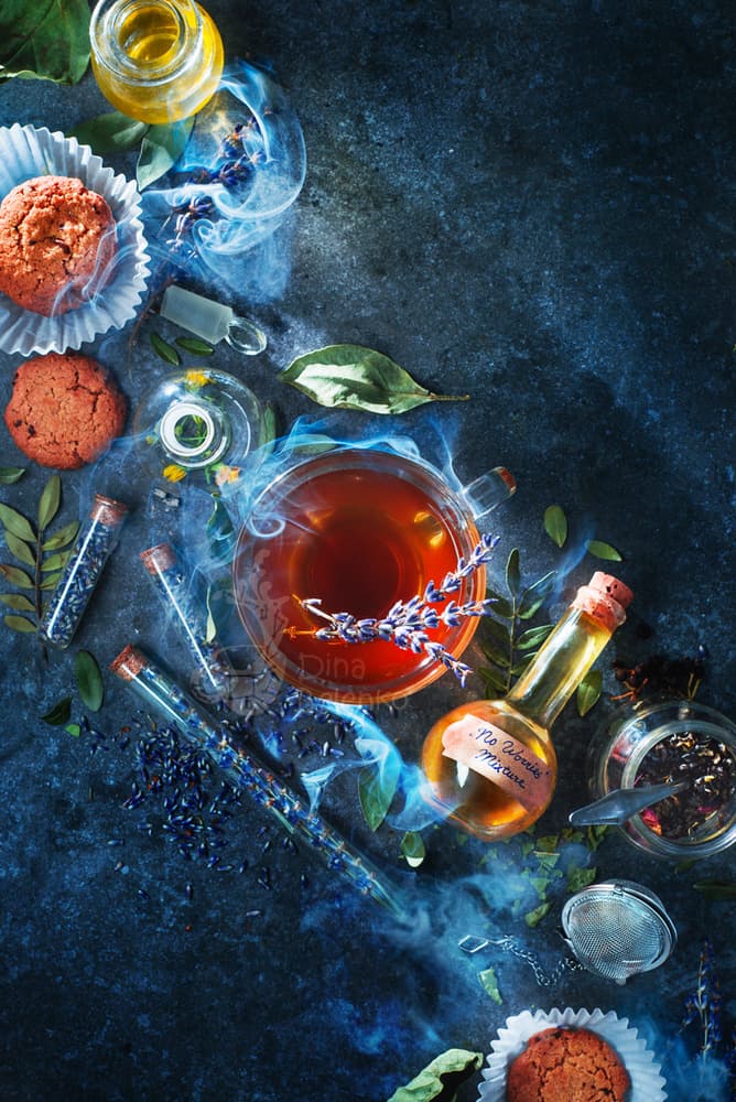 Magic Tea Potions by Dina Belenko — canvas wall art