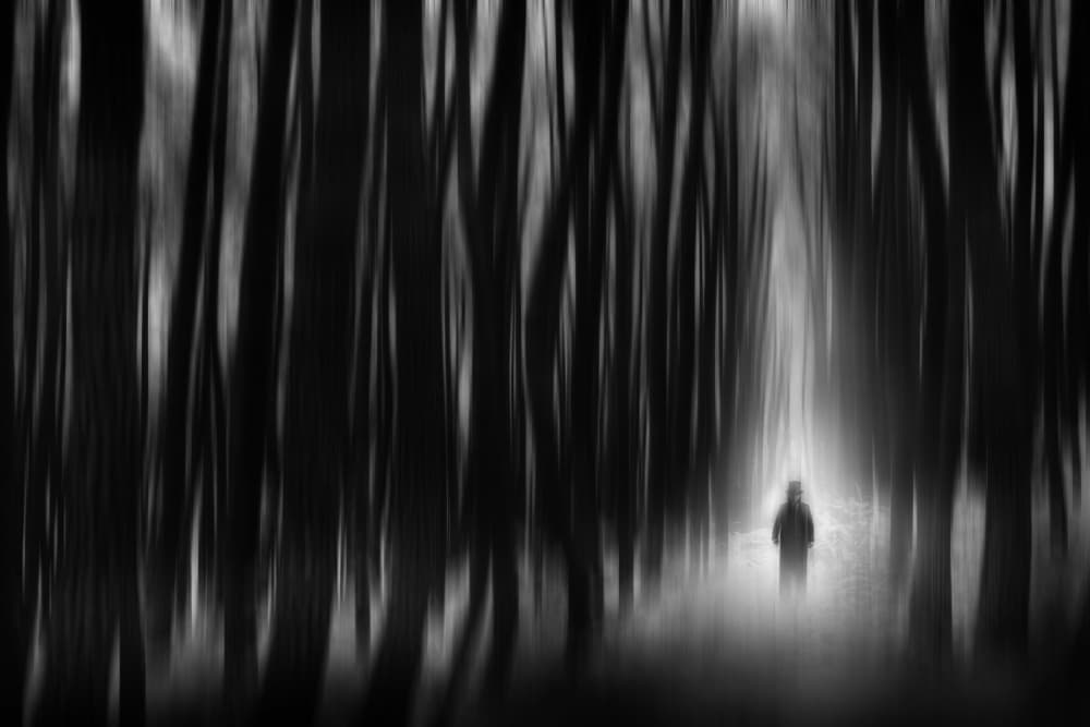 Lone Figure Forest Path by Hari Sulistiawan — canvas wall art