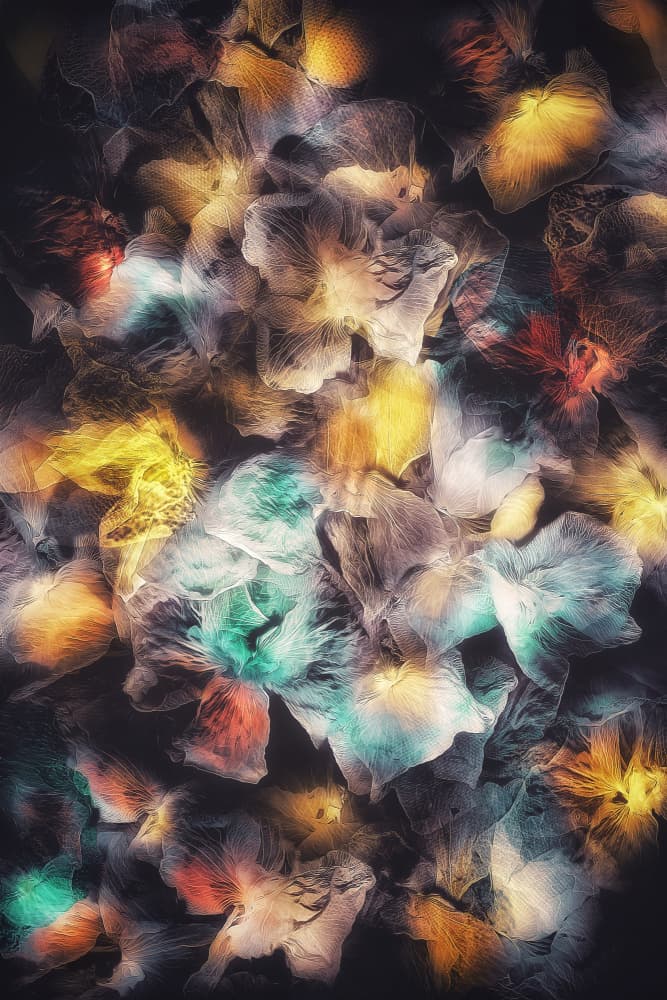 Ethereal Glowing Petals by Ludmila Shumilova — canvas wall art