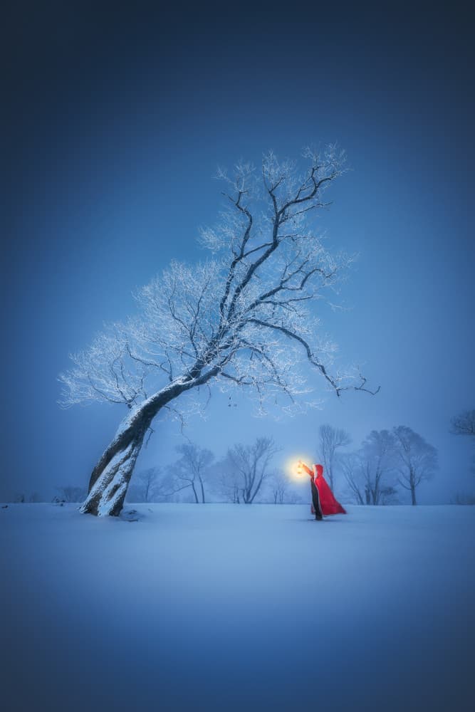 Enchanted Winter Glow by Yuan Cui — canvas wall art