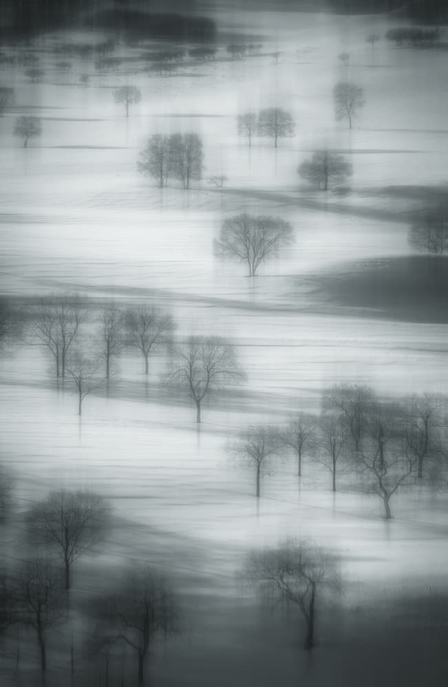 Misty Winter Trees by TIANQI — canvas wall art