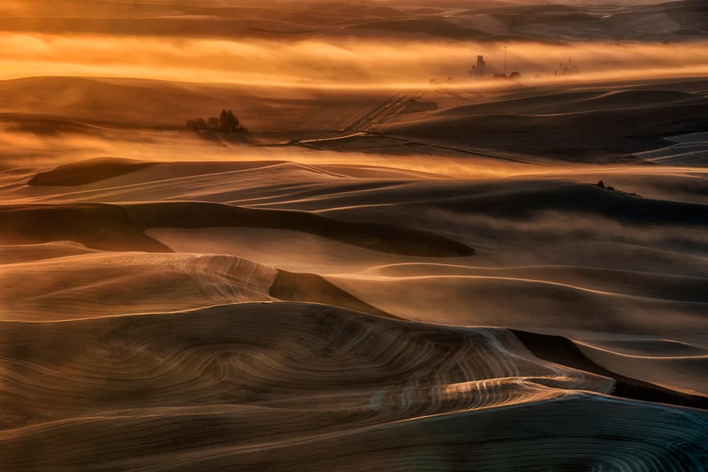 Golden Misty Hills by Lydia Jacobs — canvas wall art