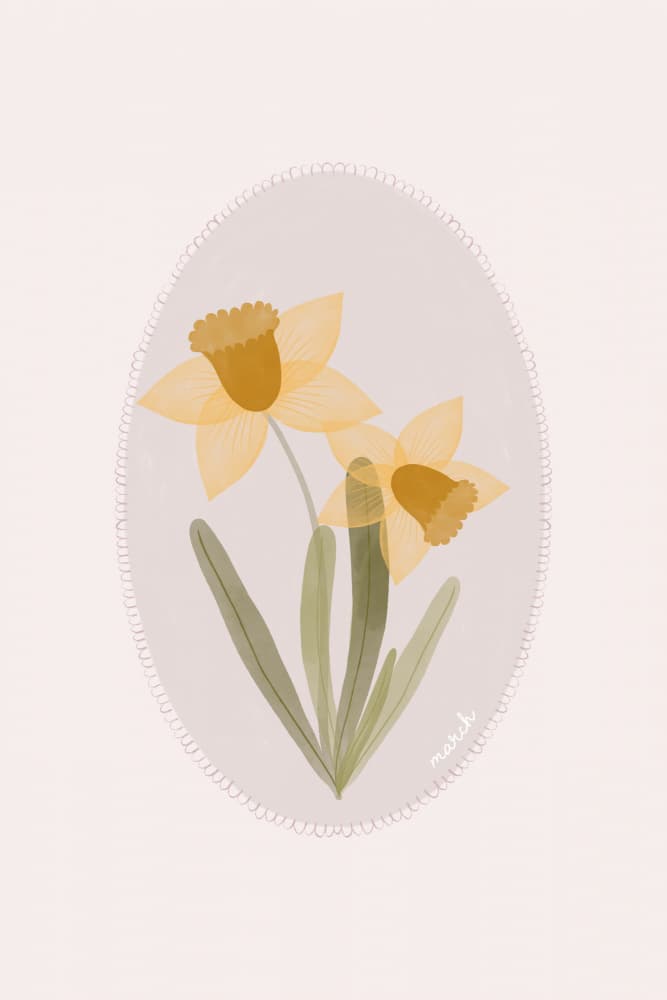 Soft Spring Daffodils by Menina Lisboa — canvas wall art