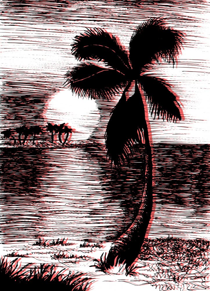 Tropical Sunset Palm by Marika Barsrsind β canvas wall art
